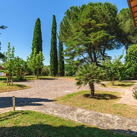 Il Pineto - Art Apartamento Sinalunga