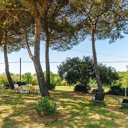 Il Pineto - Art Apartamento *